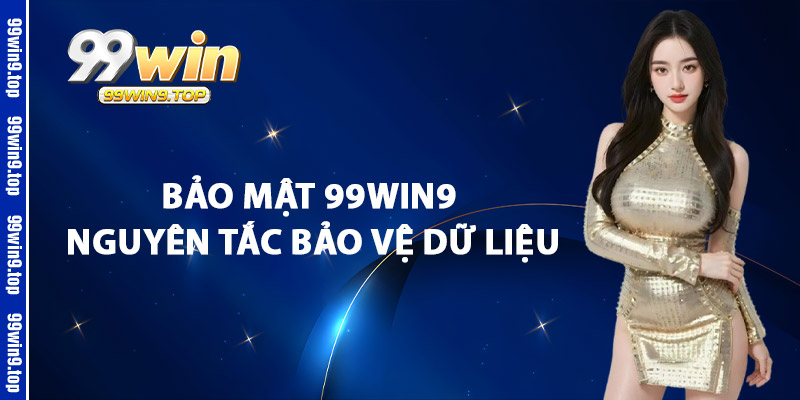 Bảo Mật 99Win9 Nguyên Tắc Bảo Vệ Dữ Liệu